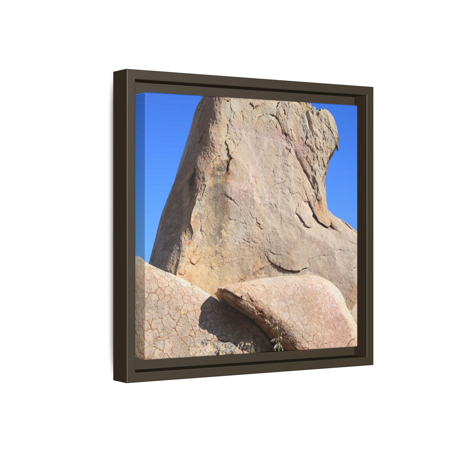 Rocky Sentinel - Unique Stretched Canvas Wall Art - Art By Earth