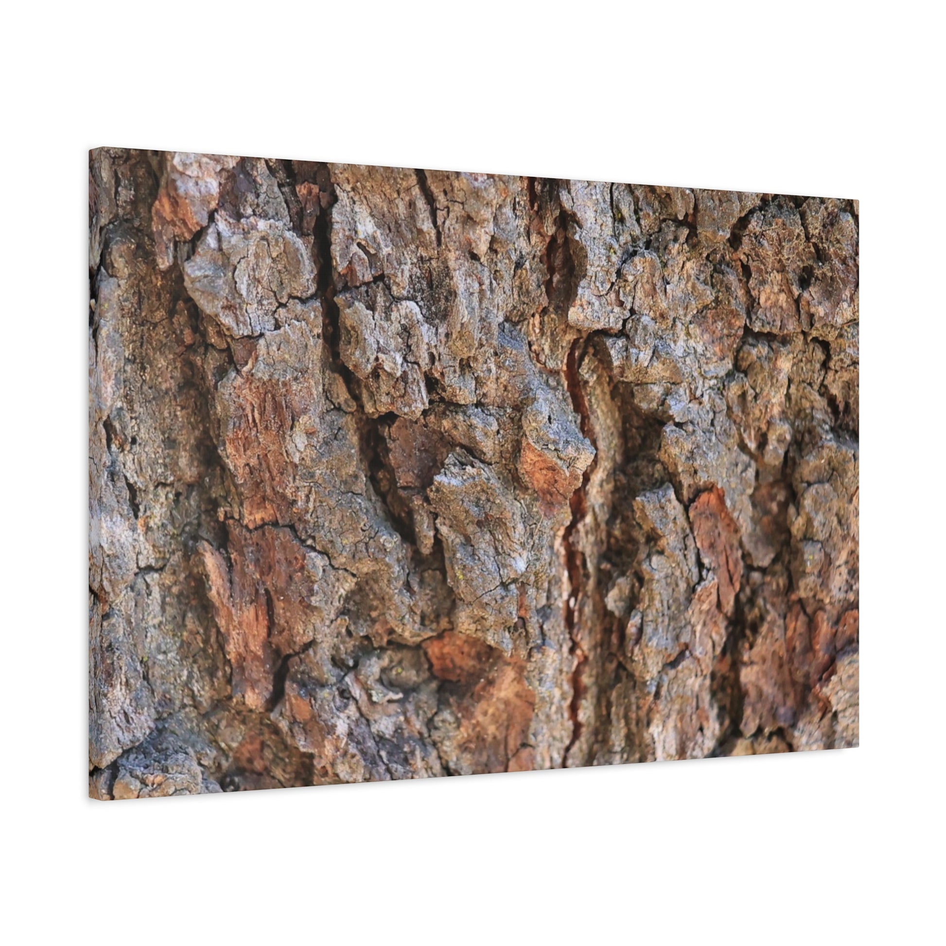 Roots of Time - Unique Frameless Canvas Wall Art - Art By Earth