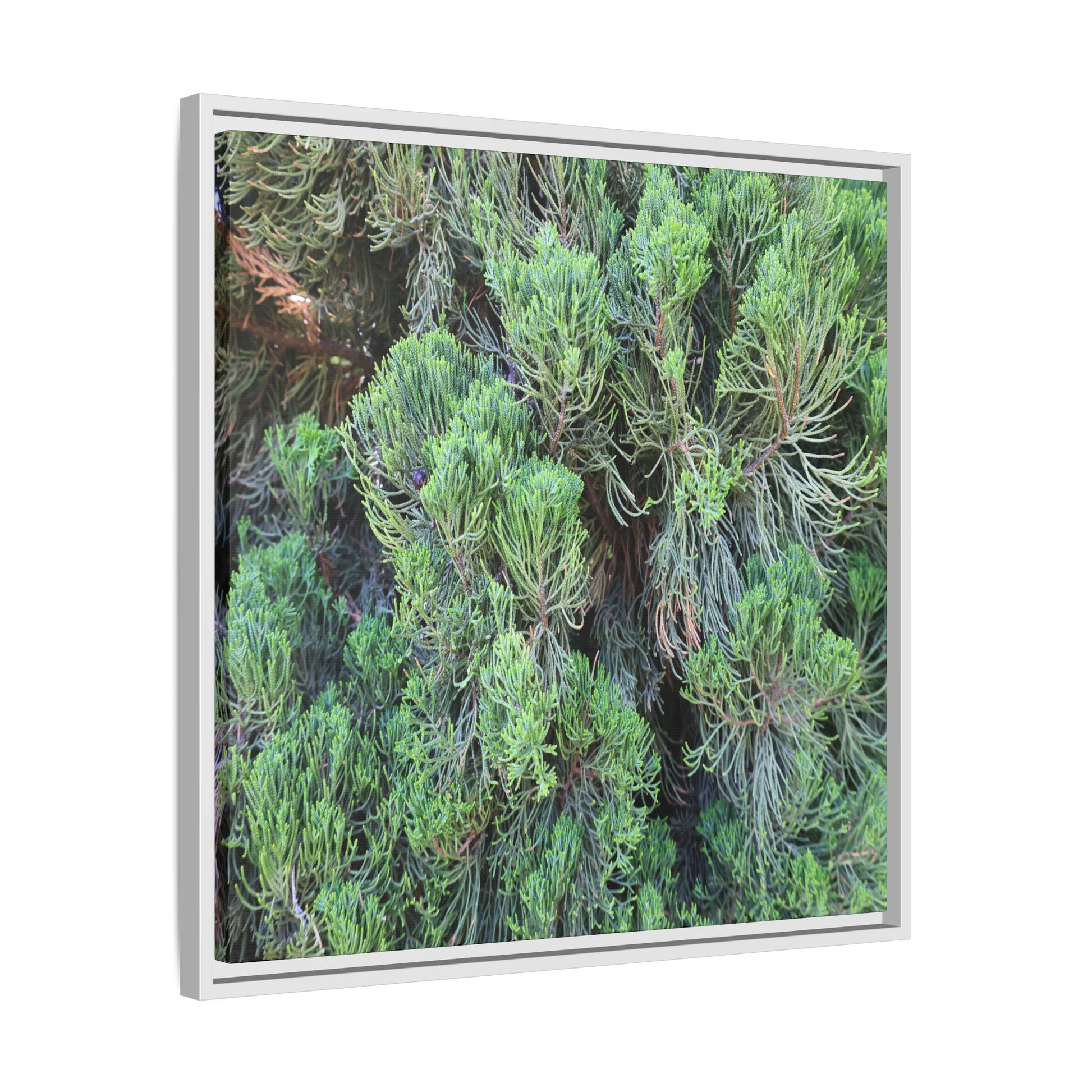 Verdant Whispers - Unique Stretched Canvas Wall Art - Art By Earth