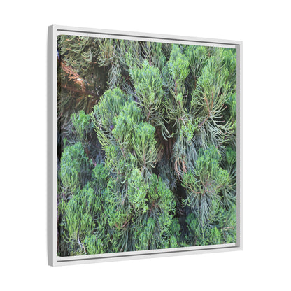 Verdant Whispers - Unique Stretched Canvas Wall Art - Art By Earth