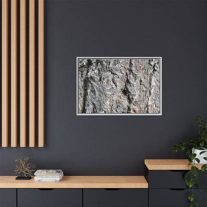 Crusty Exterior - Unique Stretched Canvas Wall Art - Art By Earth