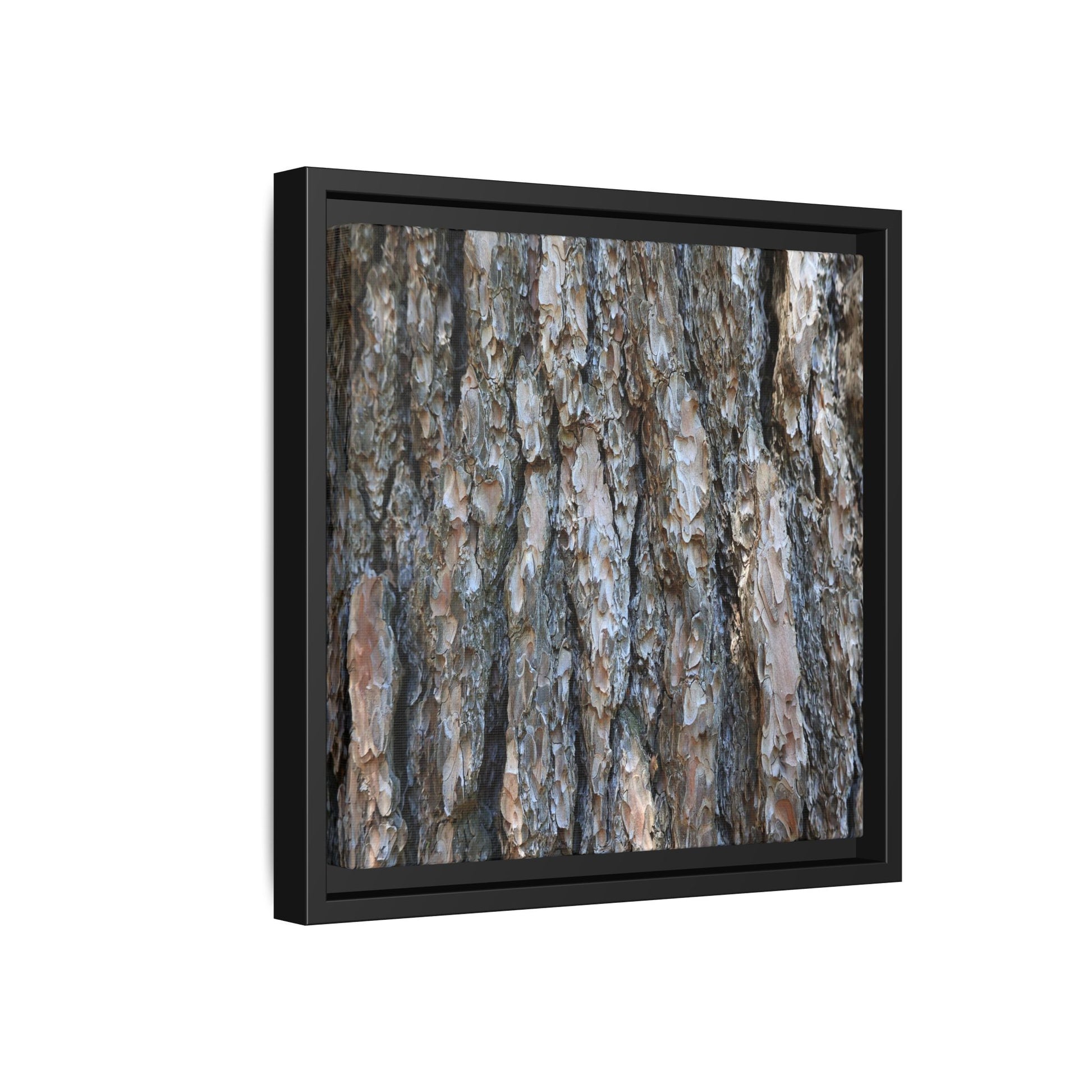 Bark Whispers - Unique Stretched Canvas Wall Art - Art By Earth