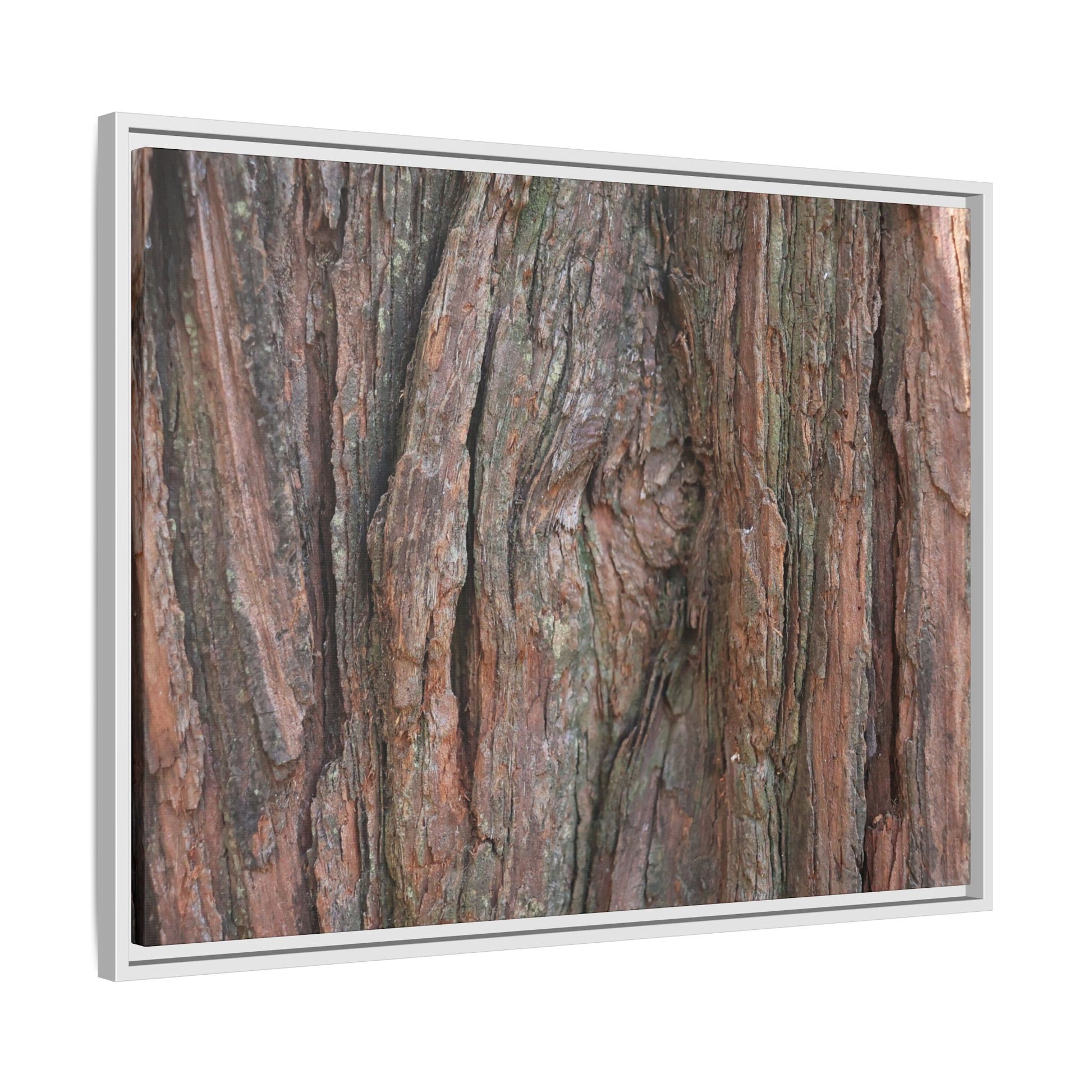 Rugged Textures - Unique Stretched Canvas Wall Art - Art By Earth