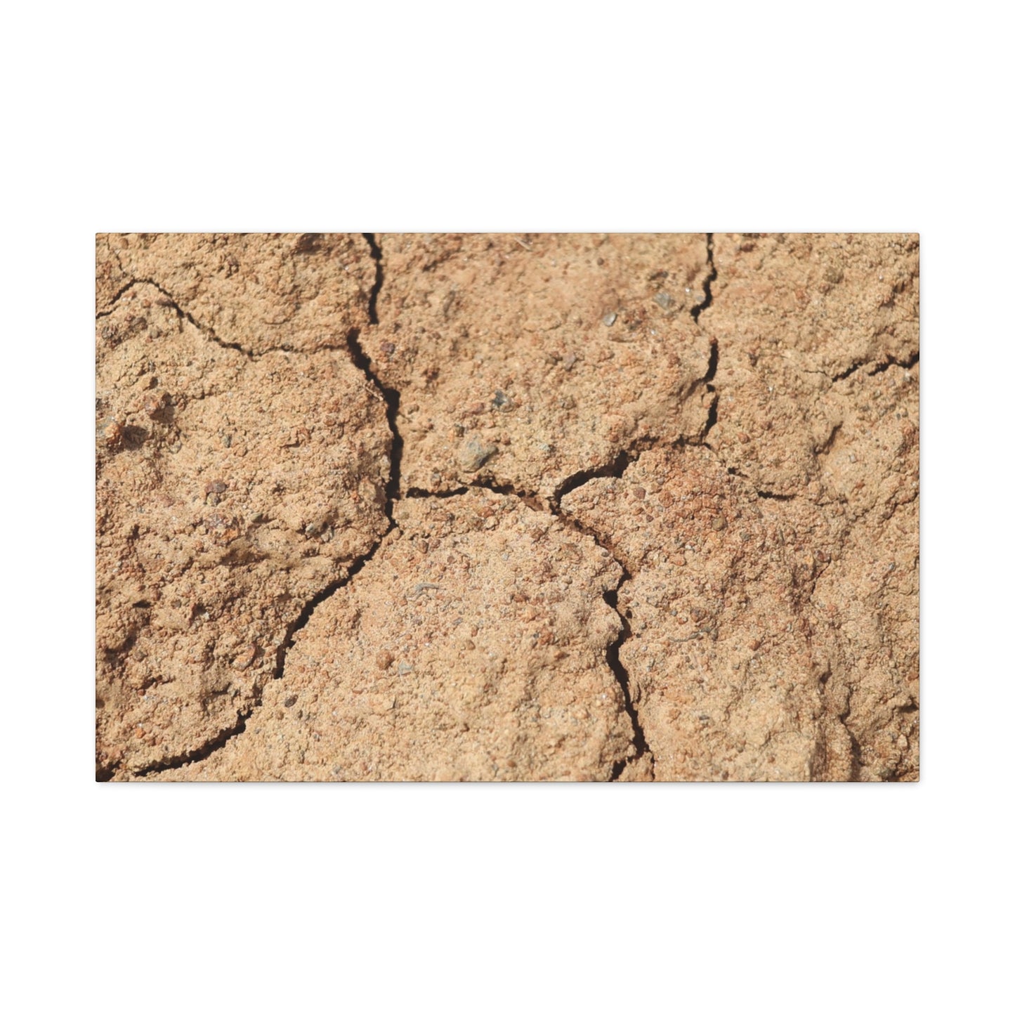Cracked Earth's Lament - Unique Frameless Canvas Wall Art - Art By Earth