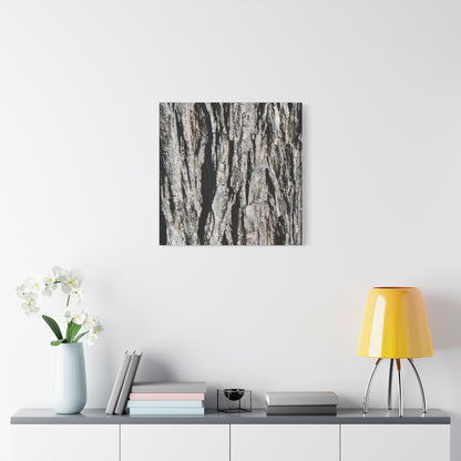 Bark Textures in Monochrome - Unique Frameless Canvas Wall Art - Art By Earth
