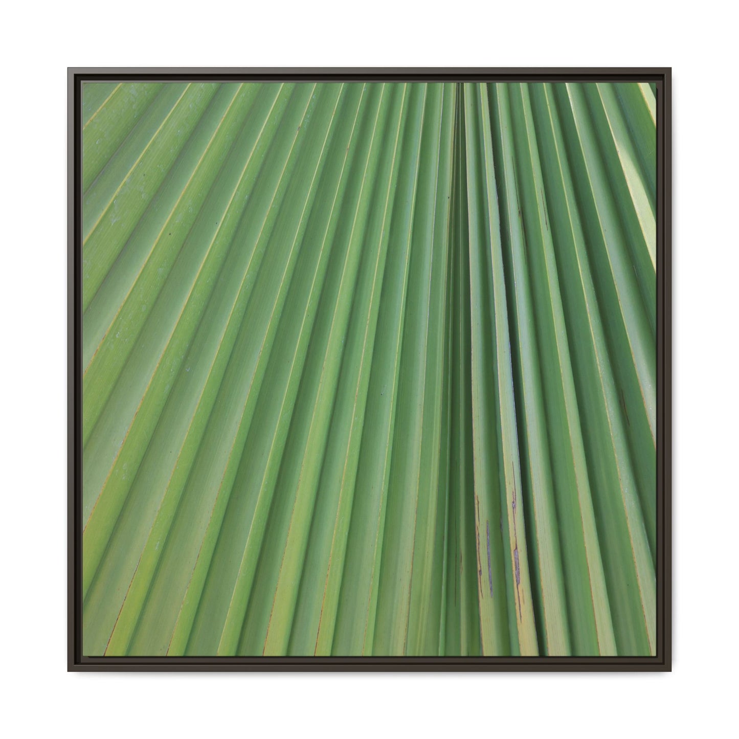 Emerald Rays - Unique Stretched Canvas Wall Art - Art By Earth