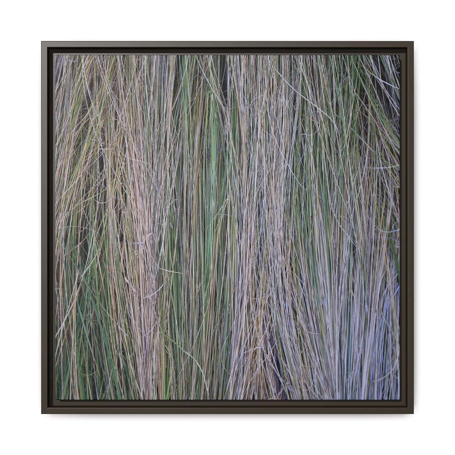 Whispers of Silver Grass - Unique Stretched Canvas Wall Art - Art By Earth