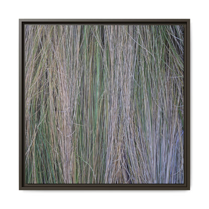 Whispers of Silver Grass - Unique Stretched Canvas Wall Art - Art By Earth