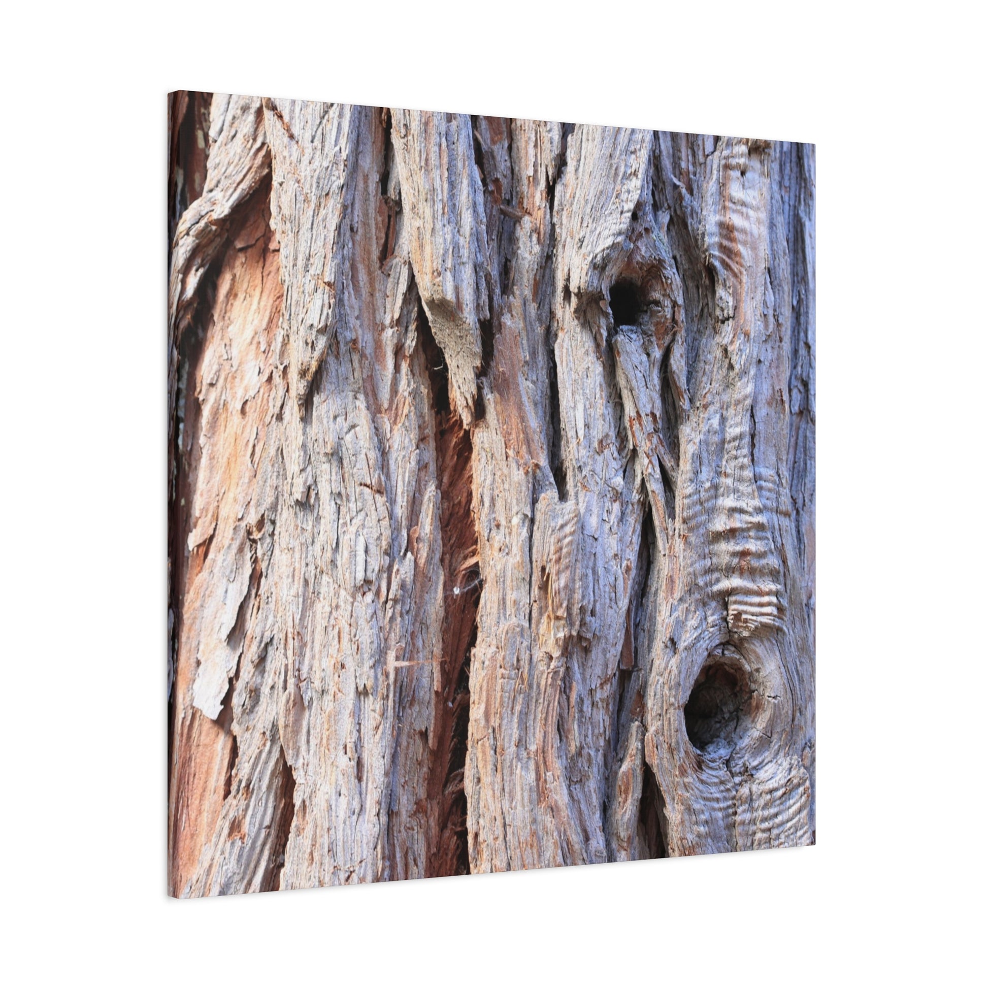 Aged Bark Surface - Unique Frameless Canvas Wall Art - Art By Earth