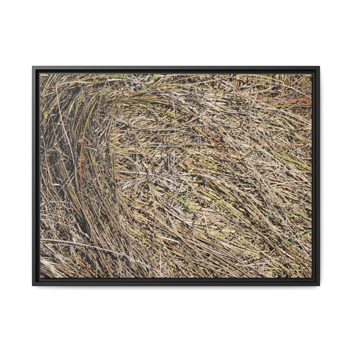 Tangled Grass Symphony - Unique Stretched Canvas Wall Art - Art By Earth