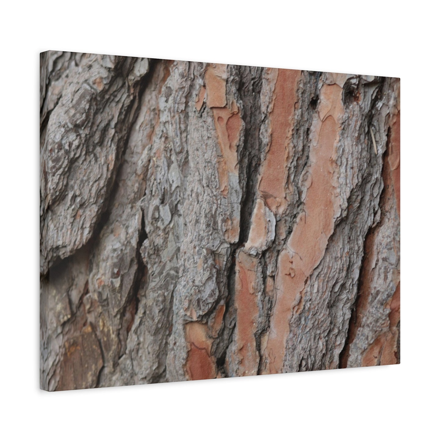 Fractal Landscape - Unique Frameless Canvas Wall Art - Art By Earth