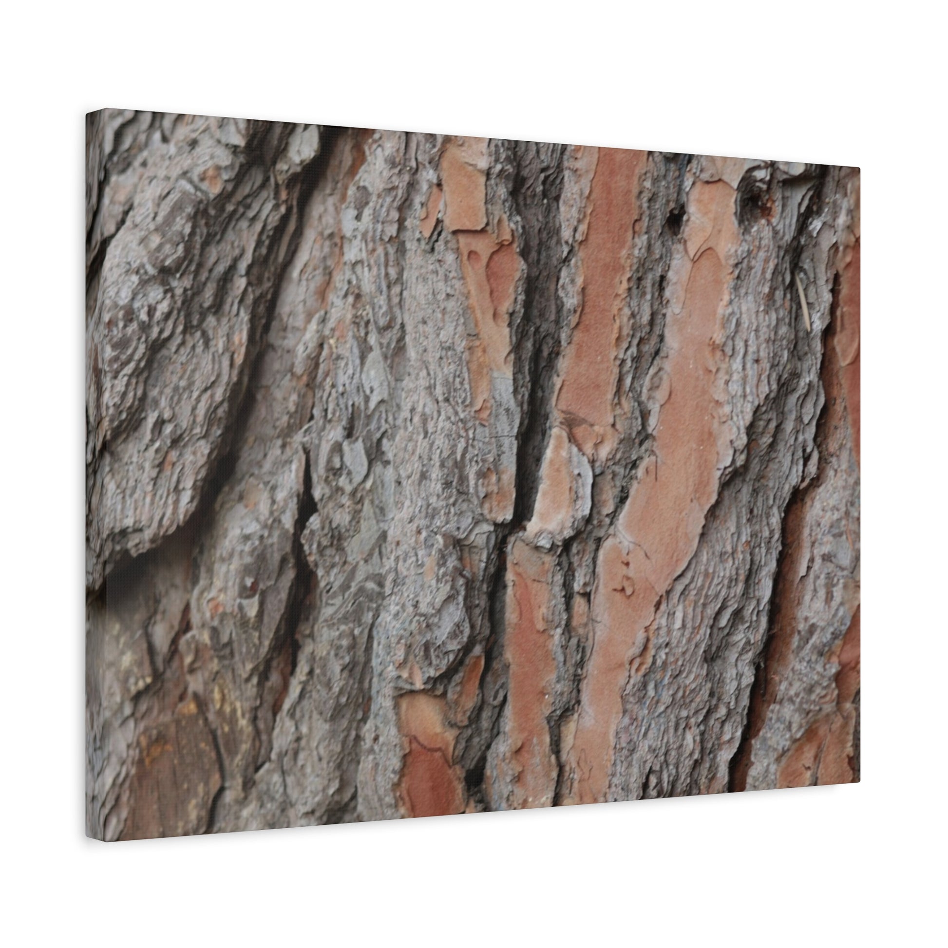 Fractal Landscape - Unique Frameless Canvas Wall Art - Art By Earth