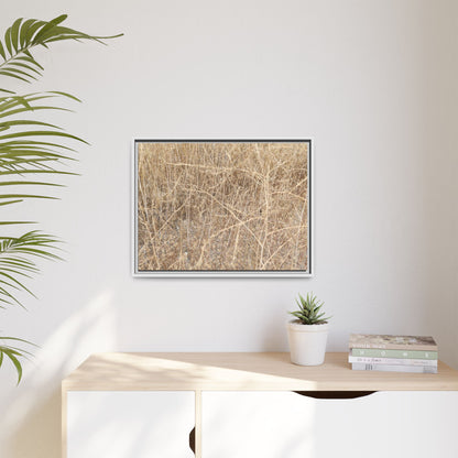 Golden Stalks - Unique Stretched Canvas Wall Art - Art By Earth