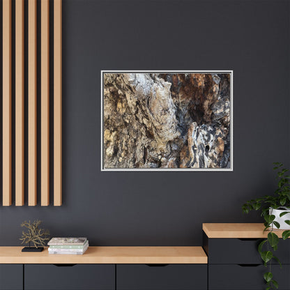 Ancient Tree Texture - Unique Stretched Canvas Wall Art - Art By Earth