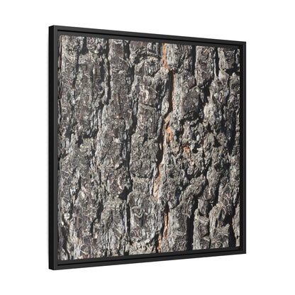 Aged Beauty - Unique Stretched Canvas Wall Art - Art By Earth