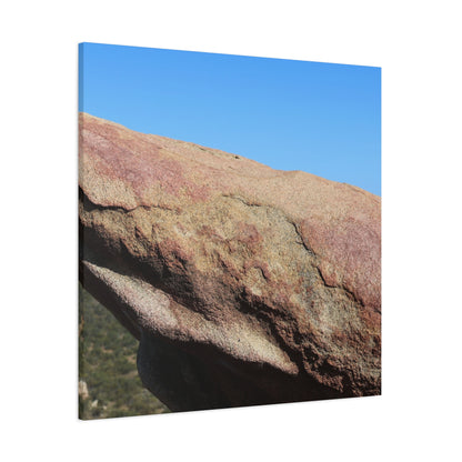 Stone Dreamer - Unique Frameless Canvas Wall Art - Art By Earth