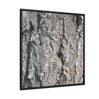 Crusty Exterior - Unique Stretched Canvas Wall Art - Art By Earth