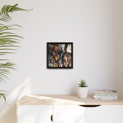 Eucalyptus Grove - Unique Stretched Canvas Wall Art