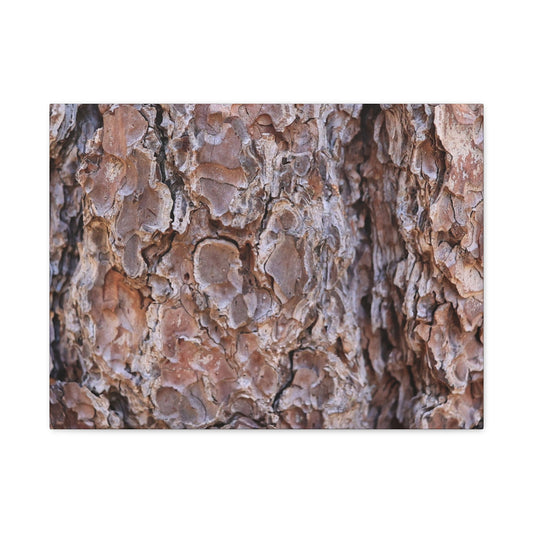 Rugged Bark Landscape - Unique Frameless Canvas Wall Art - Art By Earth