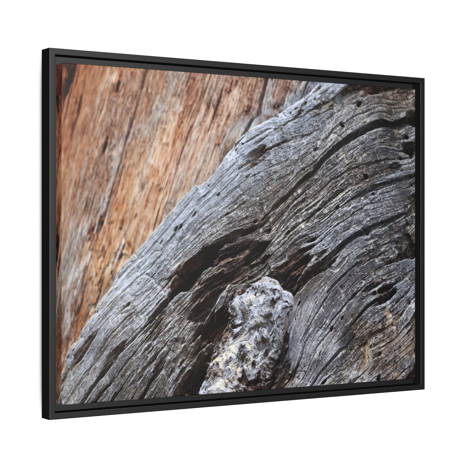 Time's Mark on Timber - Unique Stretched Canvas Wall Art - Art By Earth