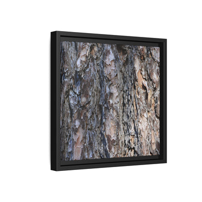 Weathered Patterns - Unique Stretched Canvas Wall Art - Art By Earth