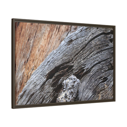 Time's Mark on Timber - Unique Stretched Canvas Wall Art - Art By Earth