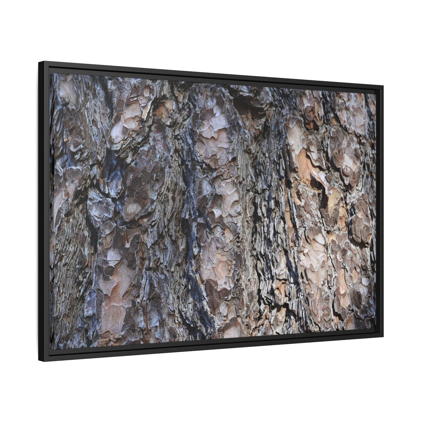 Weathered Patterns - Unique Stretched Canvas Wall Art - Art By Earth