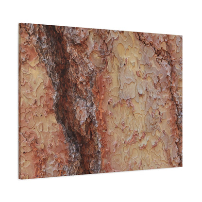 Arboreal Secrets - Unique Frameless Canvas Wall Art - Art By Earth