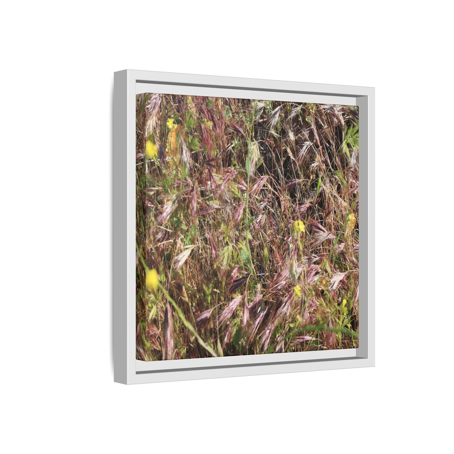 Autumn Meadow - Unique Stretched Canvas Wall Art - Art By Earth
