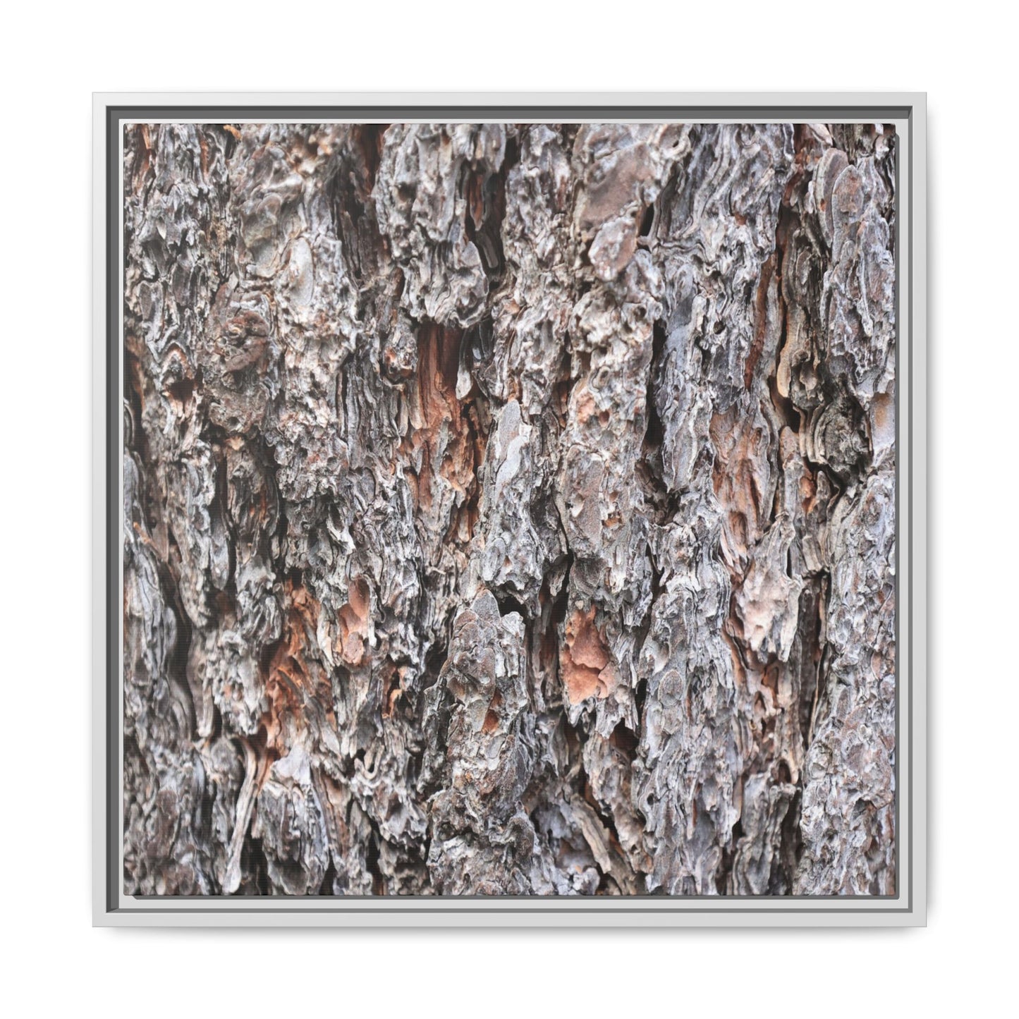 Rugged Cortex - Unique Stretched Canvas Wall Art - Art By Earth