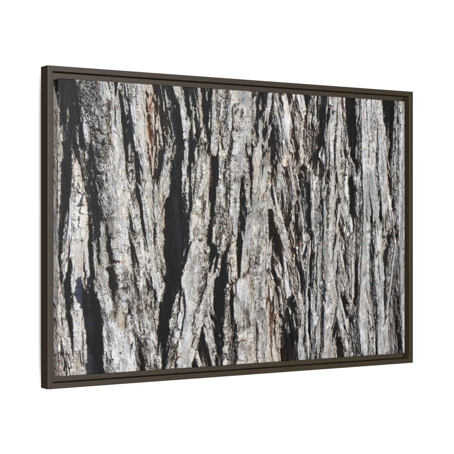 Nature's Abstract - Unique Stretched Canvas Wall Art - Art By Earth