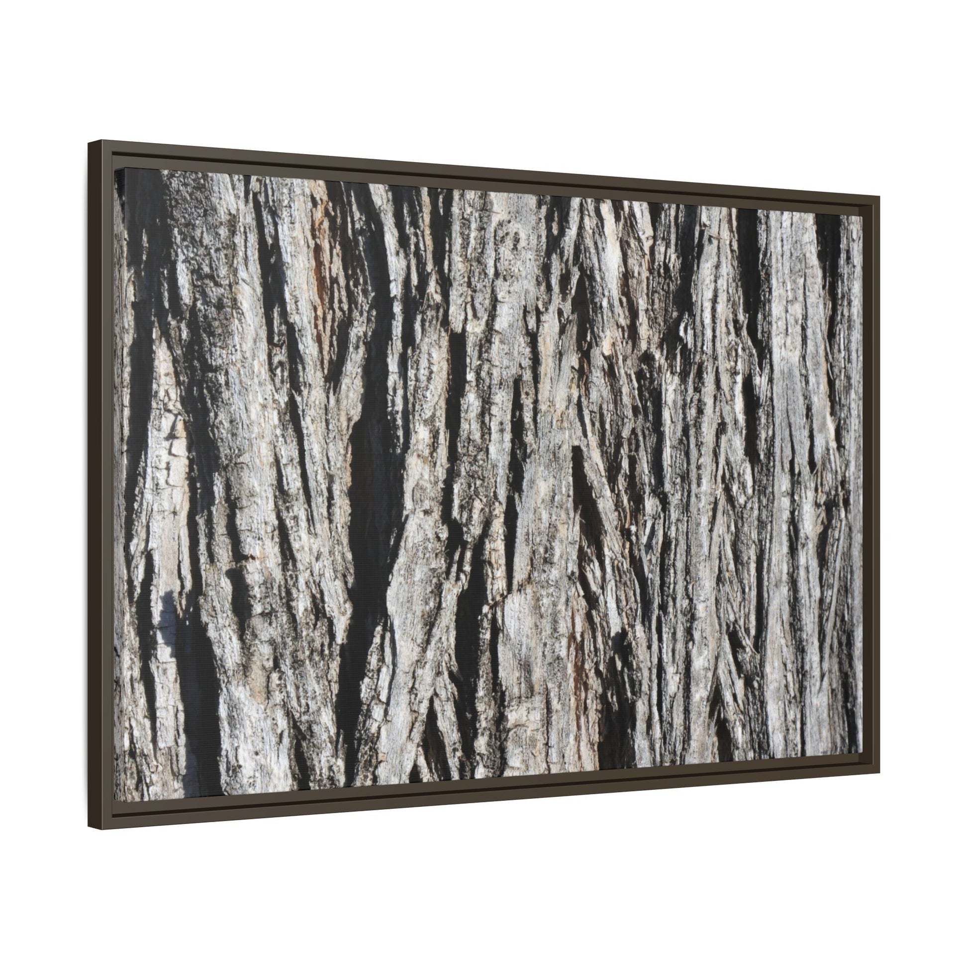 Nature's Abstract - Unique Stretched Canvas Wall Art - Art By Earth