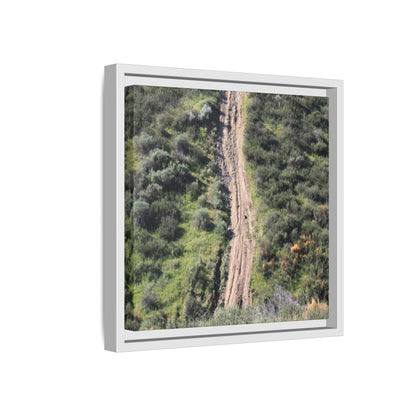 Desert Path Through Sage - Unique Stretched Canvas Wall Art - Art By Earth