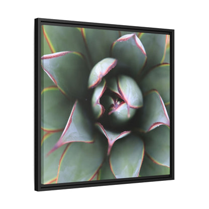 Spiky Elegance - Unique Stretched Canvas Wall Art - Art By Earth