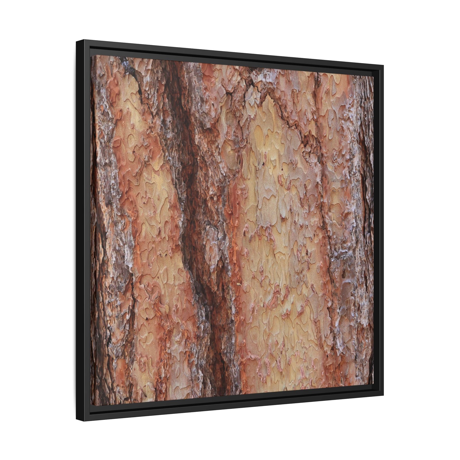 Rustic Rhythms - Unique Stretched Canvas Wall Art - Art By Earth