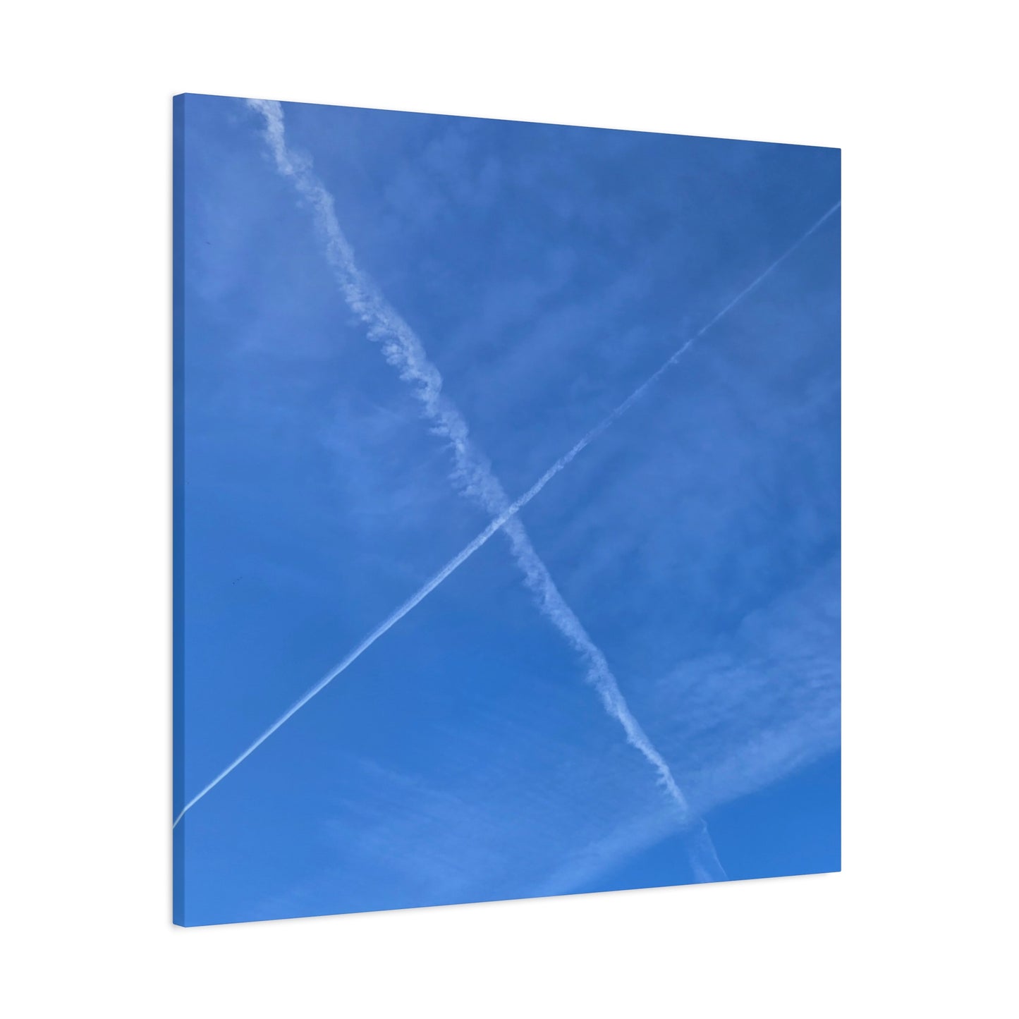 Crossing Paths - Unique Frameless Canvas Wall Art - Art By Earth