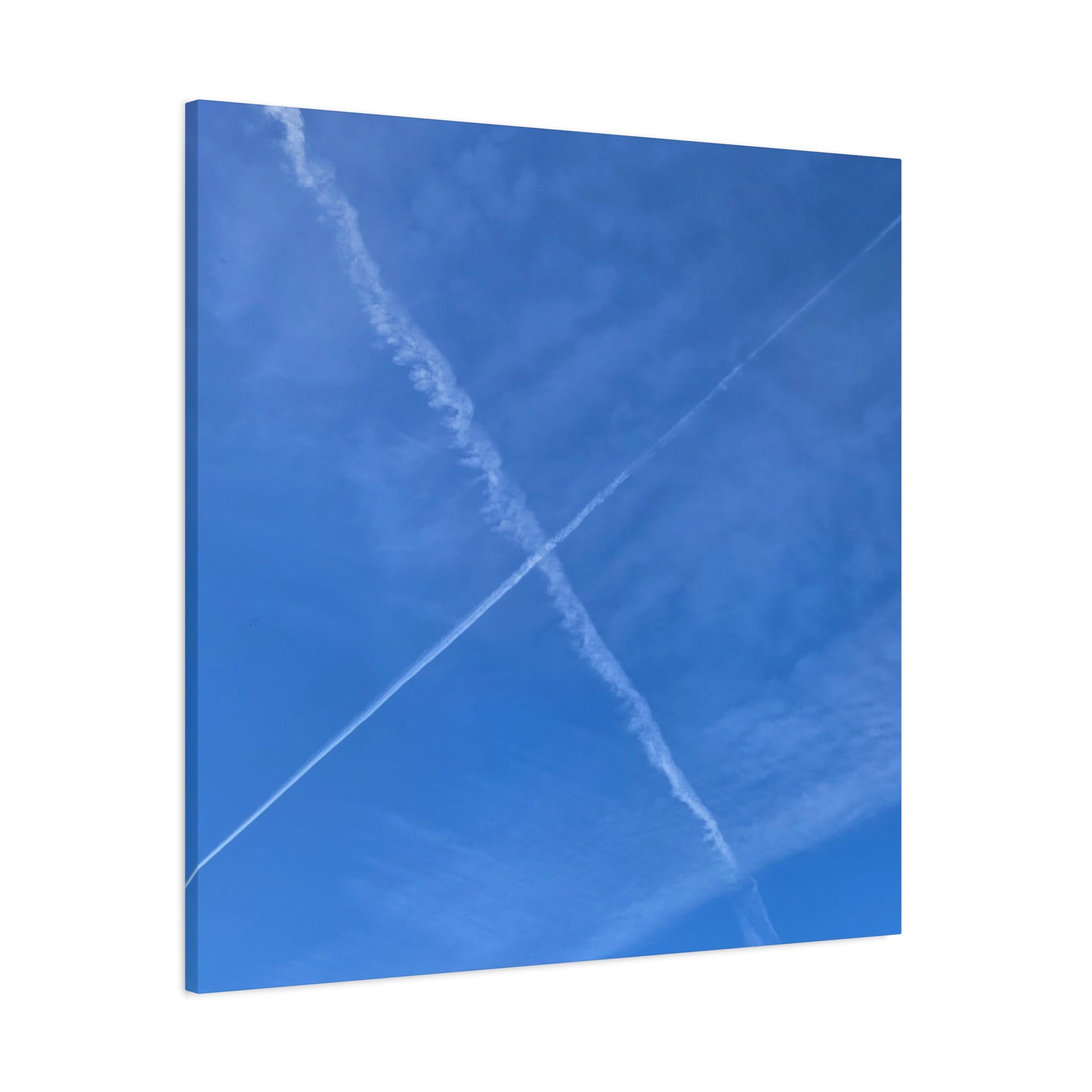 Crossing Paths - Unique Frameless Canvas Wall Art - Art By Earth