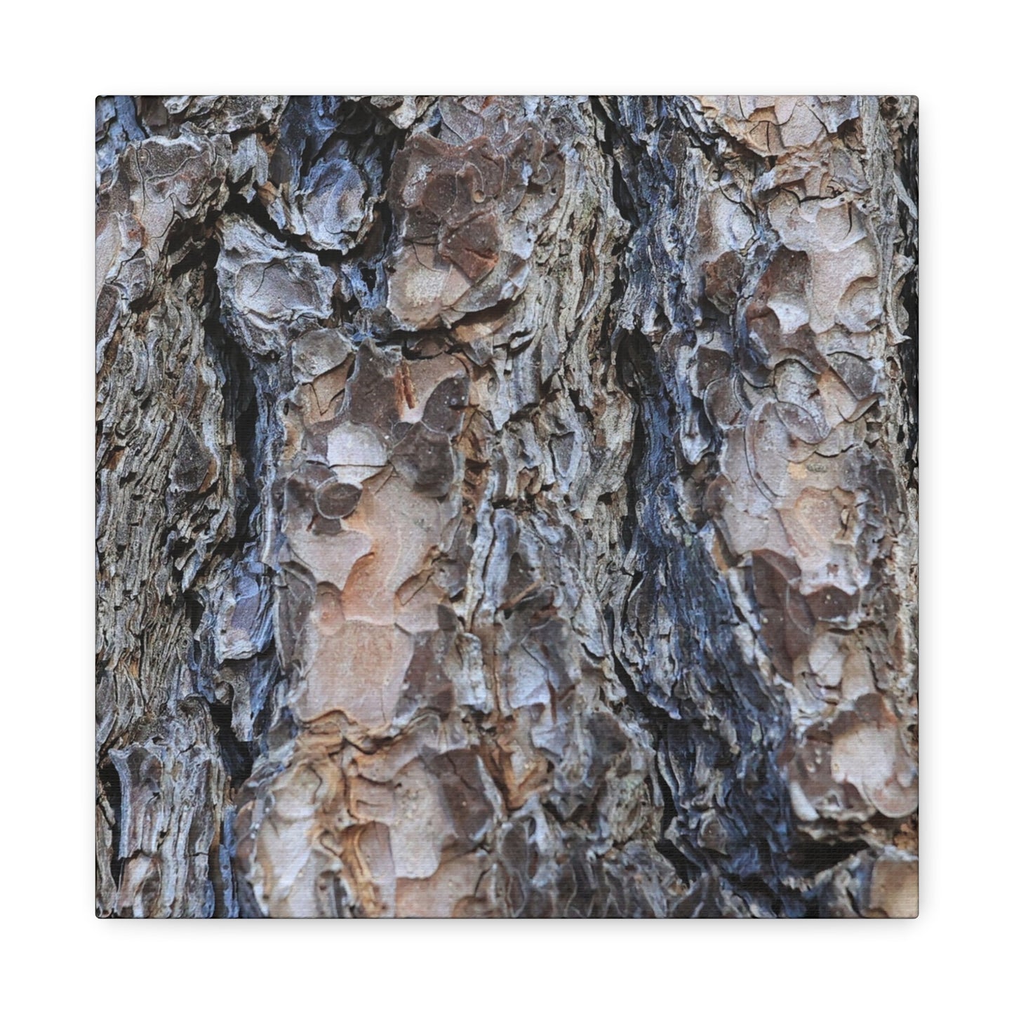 Arboreal Patterns - Unique Frameless Canvas Wall Art - Art By Earth