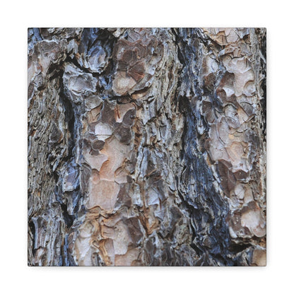 Arboreal Patterns - Unique Frameless Canvas Wall Art - Art By Earth