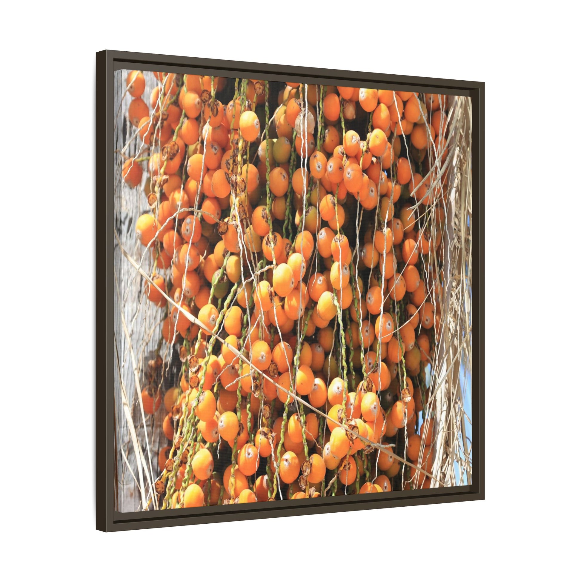 Clusters of Sunlight - Unique Canvas Wall Art - Art By Earth