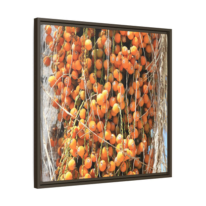 Clusters of Sunlight - Unique Canvas Wall Art - Art By Earth