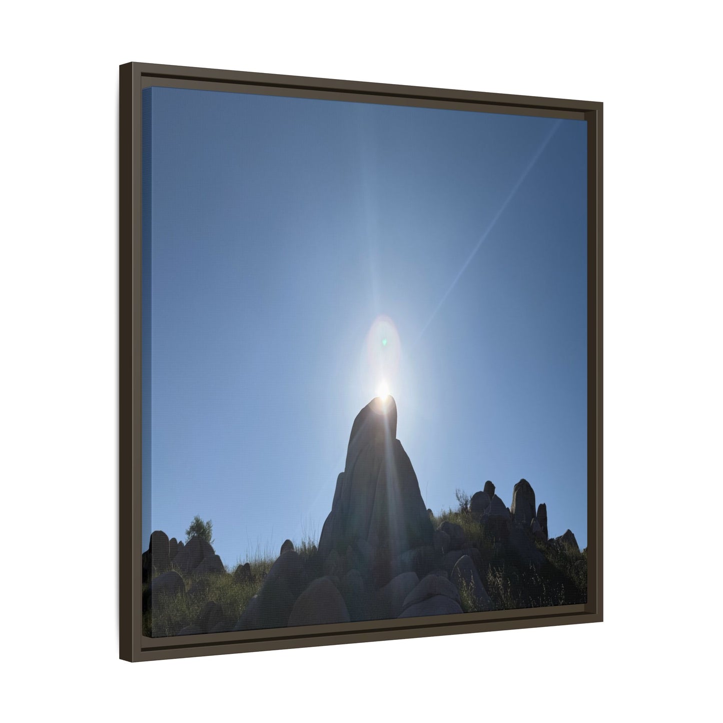 Sunburst - Unique Stretched Canvas Wall Art - Art By Earth