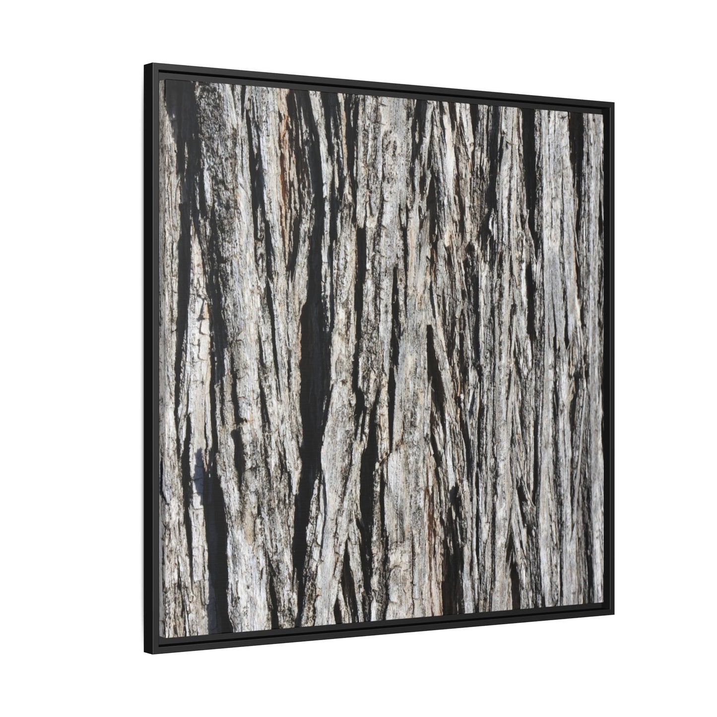 Nature's Abstract - Unique Stretched Canvas Wall Art - Art By Earth