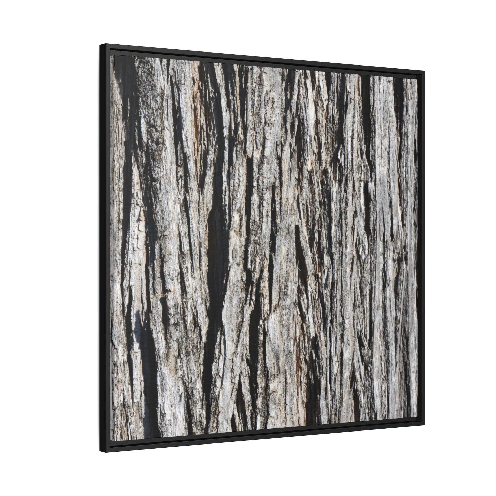 Nature's Abstract - Unique Stretched Canvas Wall Art - Art By Earth
