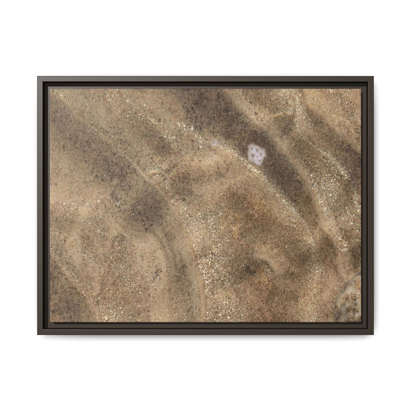 Underwater Sand Exploration - Unique Stretched Canvas Wall Art - Art By Earth
