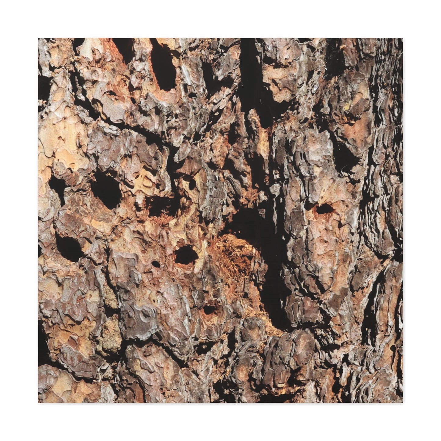 Tree Bark Mosaic - Unique Frameless Canvas Wall Art - Art By Earth