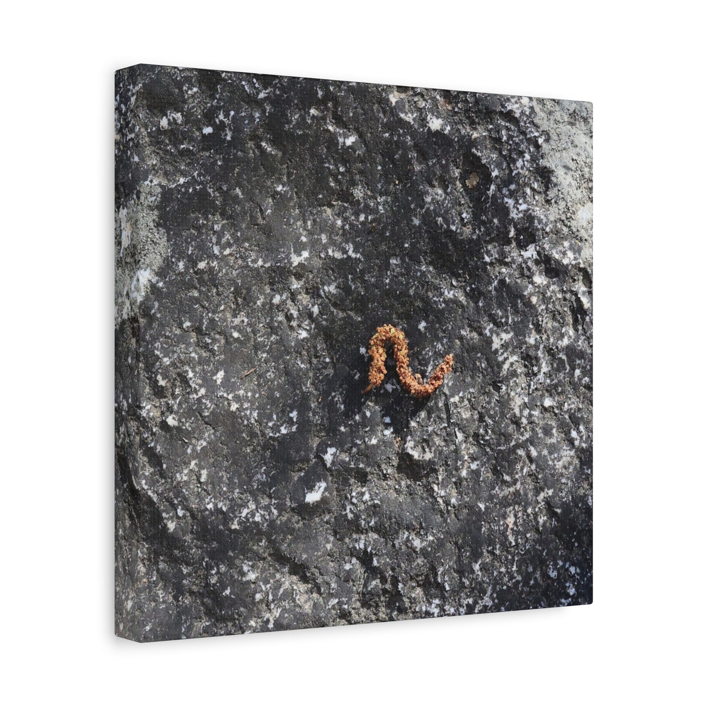 Earthen Serpent - Unique Frameless Canvas Wall Art - Art By Earth