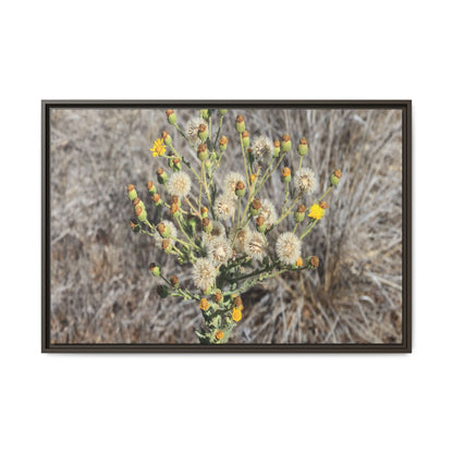 Whispers of the Dry Grass - Unique Stretched Canvas Wall Art - Art By Earth
