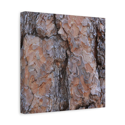 Arboreal Armor - Unique Frameless Canvas Wall Art - Art By Earth
