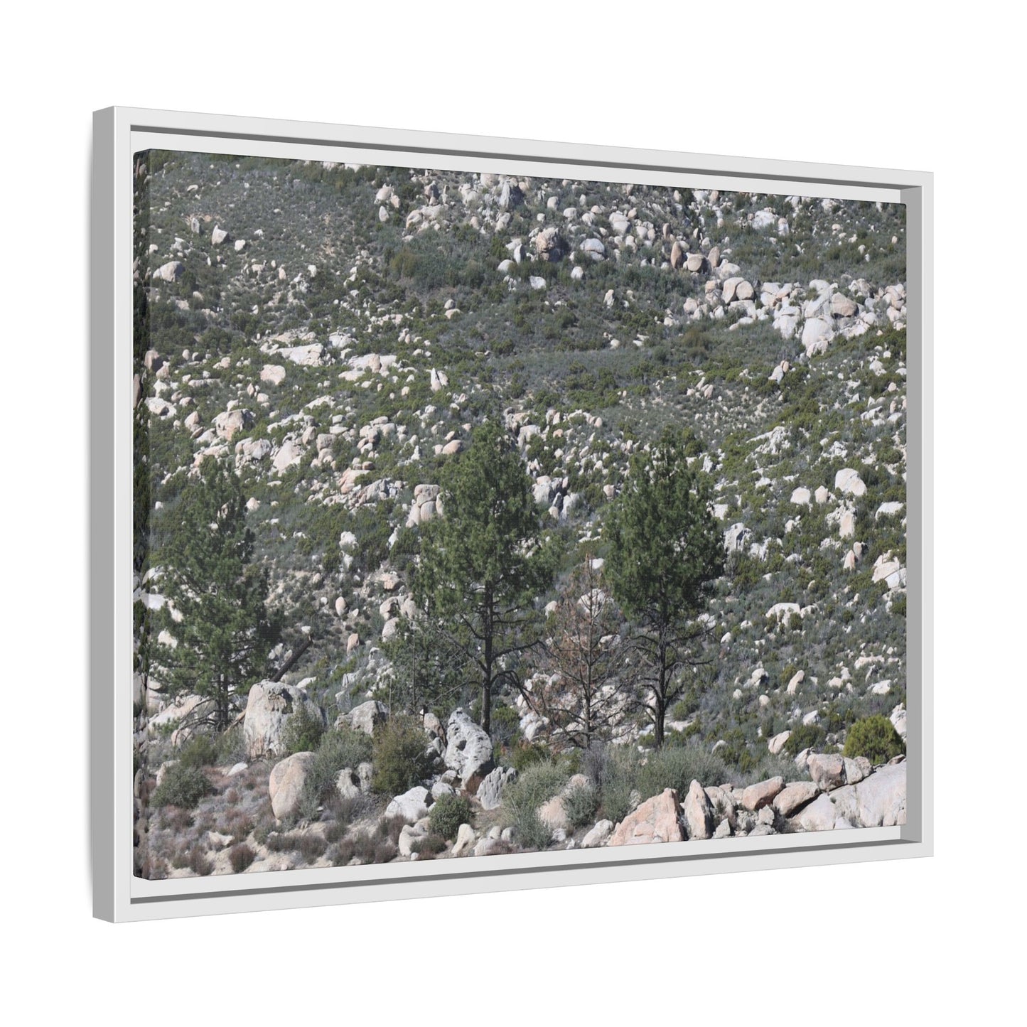 Rocky Hillside with Pine Trees - Unique Stretched Canvas Wall Art - Art By Earth
